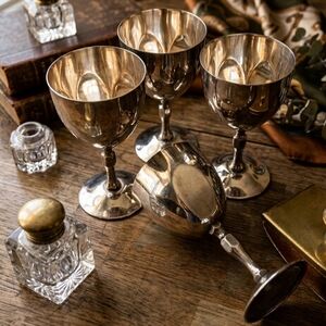 AMF Eperasa Spain Silver Plated Goblets Set of 4 Vintage MCM Barware Goth Decor